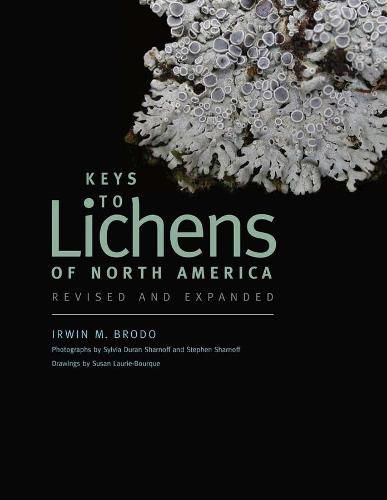 Cover image for Keys to Lichens of North America: Revised and Expanded