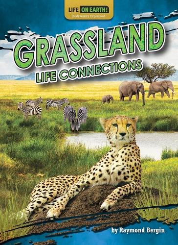 Cover image for Grassland Life Connections