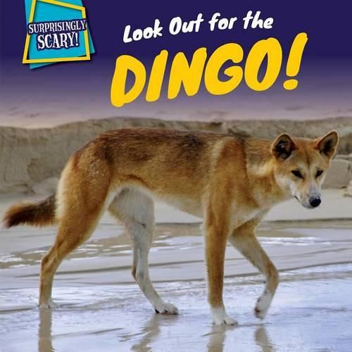 Cover image for Look Out for the Dingo!