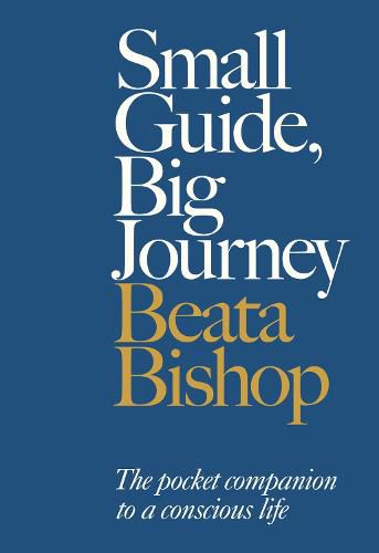 Cover image for Small Guide, Big Journey