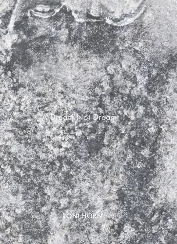 Cover image for Roni Horn: A Dream Not Dreamt