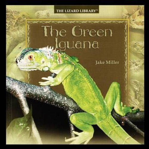 Cover image for The Green Iguana