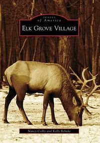 Cover image for Elk Grove Village