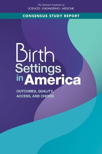 Cover image for Birth Settings in America: Outcomes, Quality, Access, and Choice