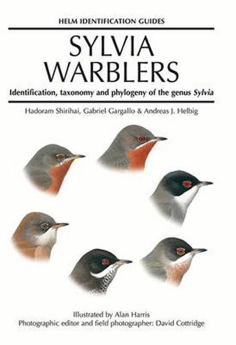Cover image for Sylvia Warblers: Identification, taxonomy and phylogeny of the genus Sylvia