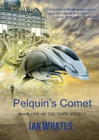 Cover image for Pelquin's Comet