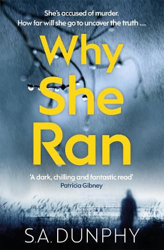 Cover image for Why She Ran