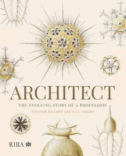 Cover image for Architect: The evolving story of a profession