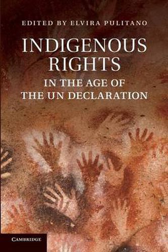 Cover image for Indigenous Rights in the Age of the UN Declaration