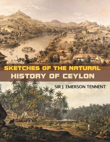 Cover image for Sketches of the Natural History of Ceylon