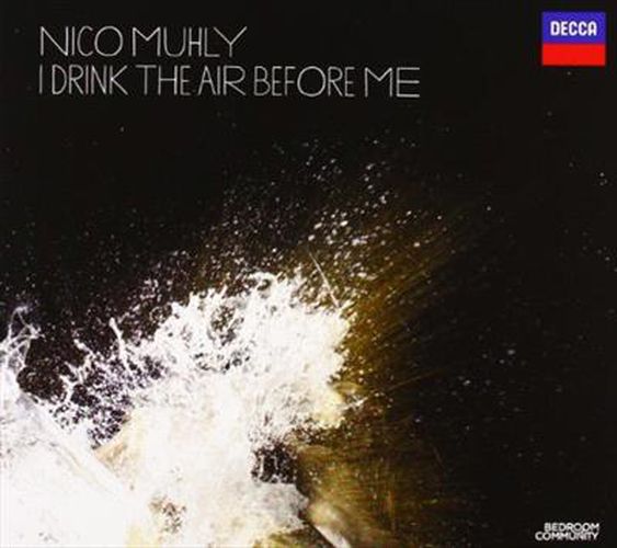 Cover image for I Drink The Air Before Me