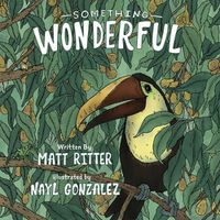 Cover image for Something Wonderful