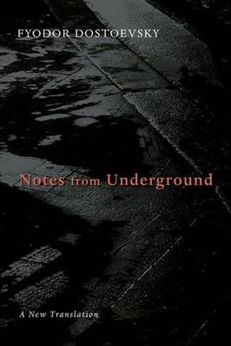 Cover image for Notes from Underground