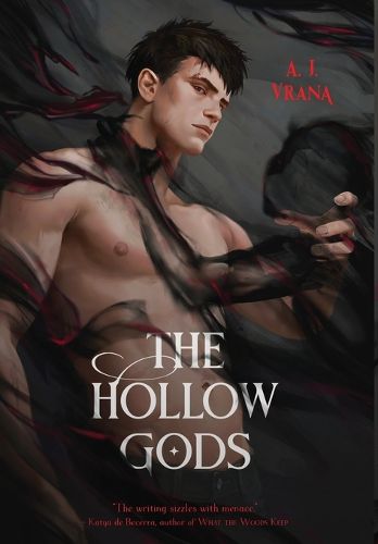 Cover image for The Hollow Gods