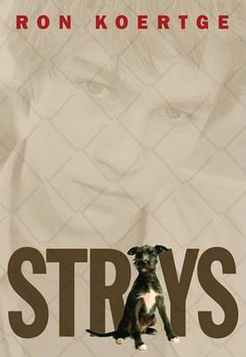 Cover image for Strays