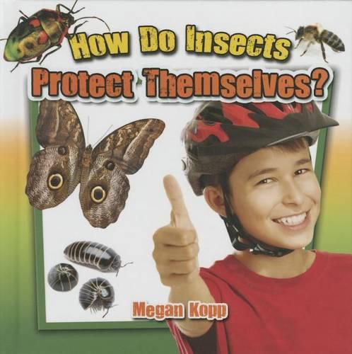 How Do Insects Protect Themselves?