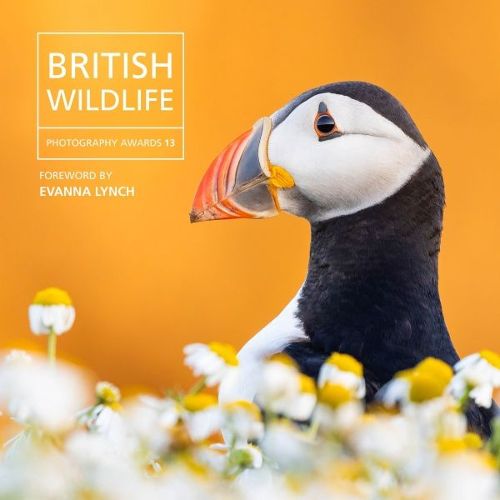 Cover image for British Wildlife Photography Awards 13