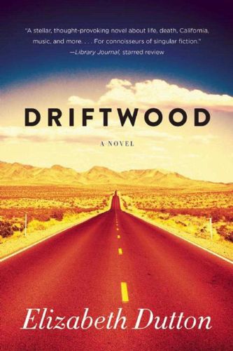 Cover image for Driftwood: A Novel