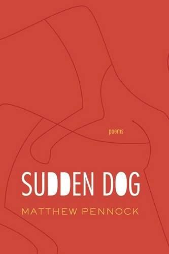 Cover image for Sudden Dog