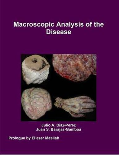 Cover image for Macroscopic Analysis of the Disease