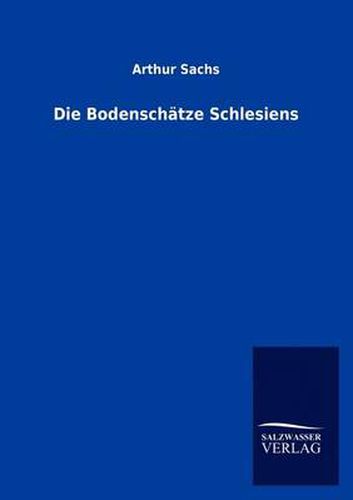 Cover image for Die Bodenschatze Schlesiens