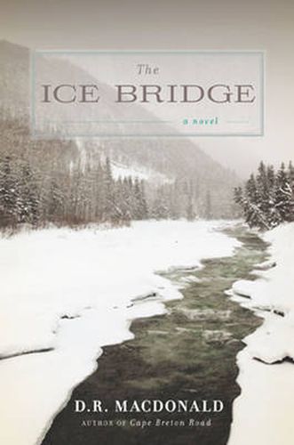 Cover image for The Ice Bridge: A Novel