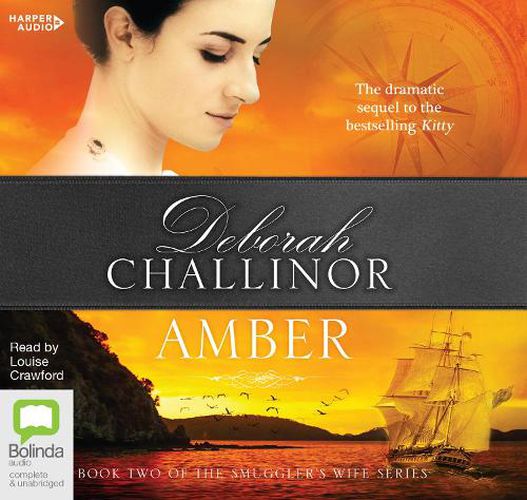 Cover image for Amber