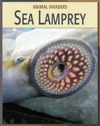 Cover image for Sea Lamprey