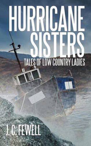 Cover image for Hurricane Sisters