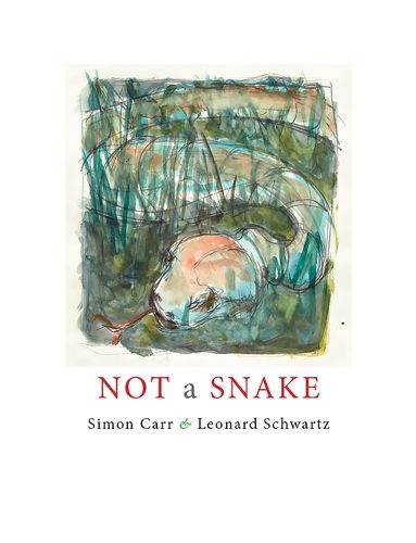 Cover image for Not a Snake
