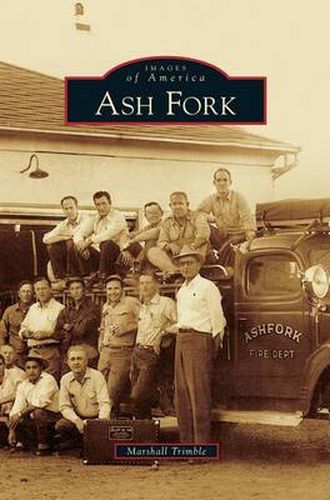 Cover image for Ash Fork