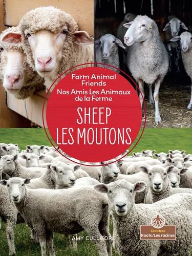 Les Moutons (Sheep) Bilingual Eng/Fre