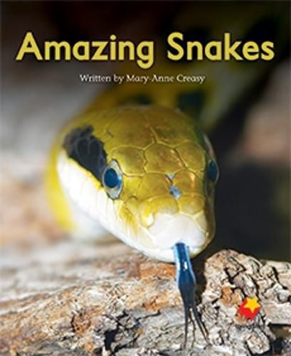 Cover image for Amazing Snakes