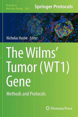 Cover image for The Wilms' Tumor (WT1) Gene: Methods and Protocols