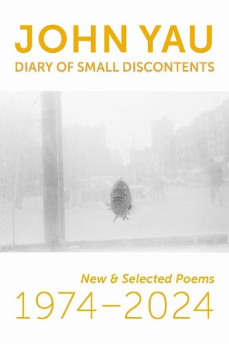 Cover image for Diary of Small Discontents