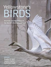 Cover image for Yellowstone's Birds