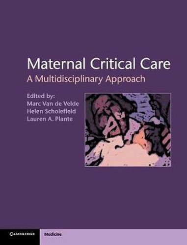 Cover image for Maternal Critical Care: A Multidisciplinary Approach