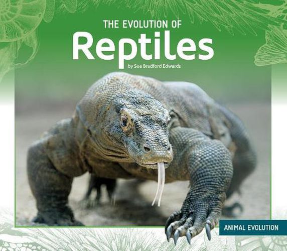 Cover image for The Evolution of Reptiles