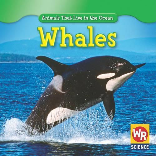 Whales