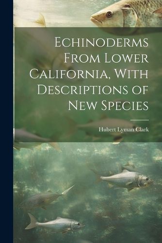 Cover image for Echinoderms From Lower California, With Descriptions of new Species