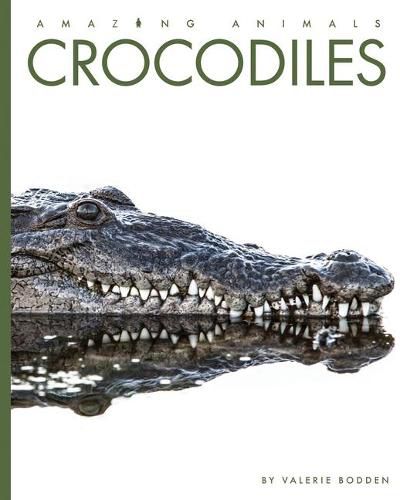 Cover image for Crocodiles