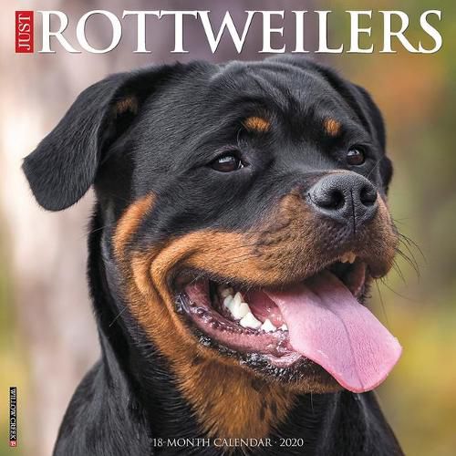 Cover image for Just Rottweilers 2020 Wall Calendar (Dog Breed Calendar)