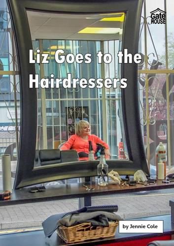 Cover image for Liz Goes to the Hairdressers