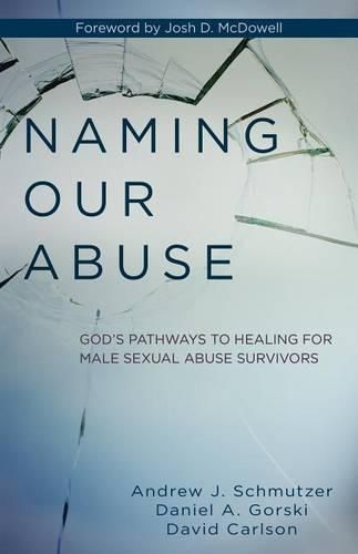 Cover image for Naming Our Abuse: God's Pathways to Healing for Male Sexual Abuse Survivors