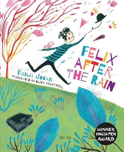 Cover image for Felix After the Rain