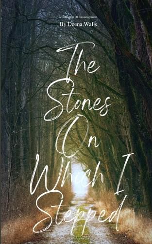 Cover image for The Stones On Which I Stepped