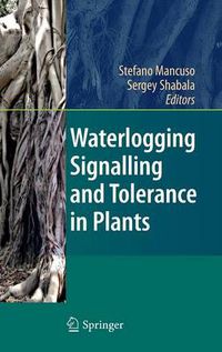 Cover image for Waterlogging Signalling and Tolerance in Plants