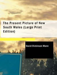 Cover image for The Present Picture of New South Wales