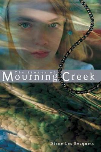 Cover image for The Stones of Mourning Creek