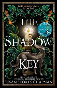Cover image for The Shadow Key